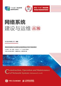 网络系统建设与运维（高级）