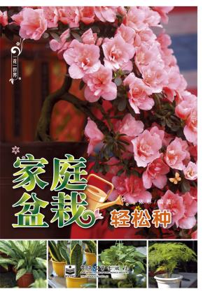 家庭盆栽轻松种（全彩）