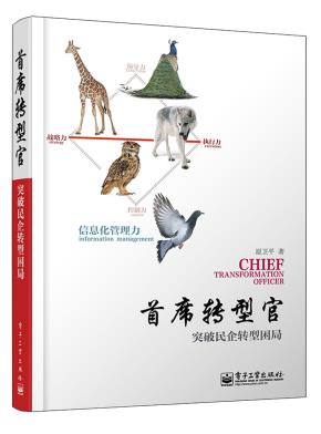 首席转型官——突破民企转型困局