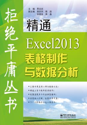 精通Excel2013表格制作与数据分析
