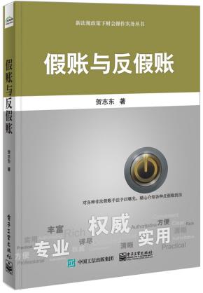 假账与反假账