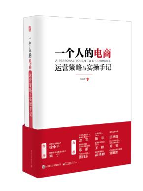 一个人的电商:运营策略与实操手记(双色)