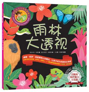 雨林大透视