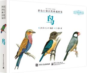 彩色口袋自然珍藏图鉴鸟（全彩）