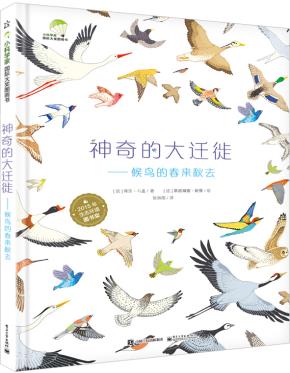 神奇的大迁徙——候鸟的春来秋去（精装版）（全彩）