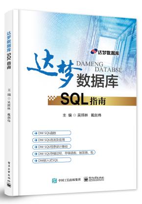 达梦数据库SQL指南