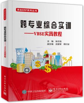 跨专业综合实训——VBSE实践教程