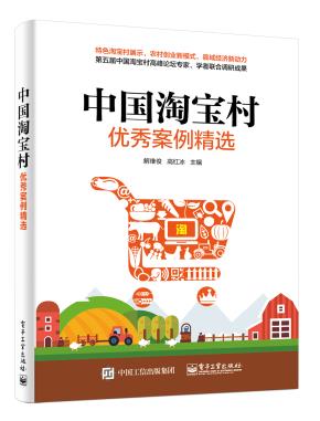 中国淘宝村优秀案例精选