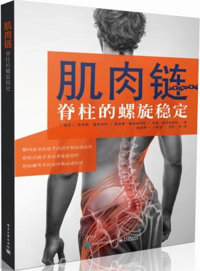 肌肉链:脊柱的螺旋稳定