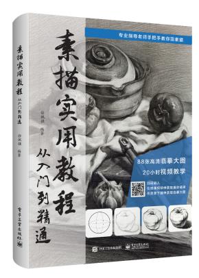 素描实用教程:从入门到精通