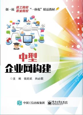 中型企业网构建