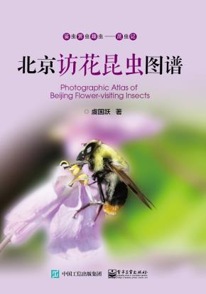 北京访花昆虫图谱