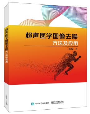 超声医学图像去噪方法及应用