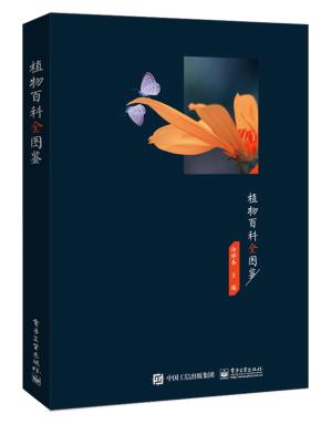 计算机视觉与深度学习实战:以MATLAB、Python为工具
