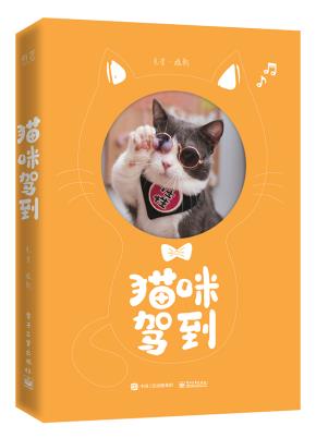 猫咪驾到（全彩）