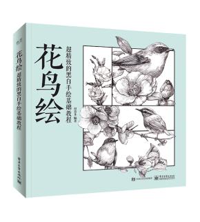 花鸟绘超精致的黑白手绘基础教程