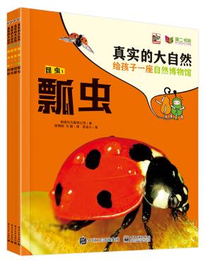 真实的大自然昆虫1（全4册）