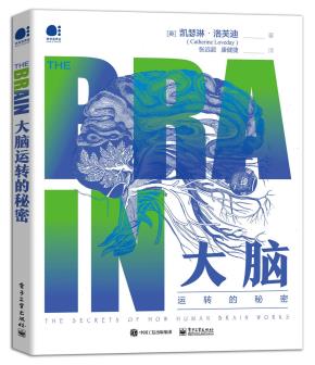 大脑运转的秘密