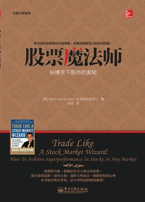 股票魔法师——纵横天下股市的奥秘