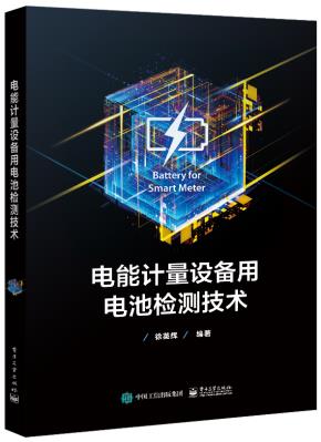 电能计量设备用电池检测技术
