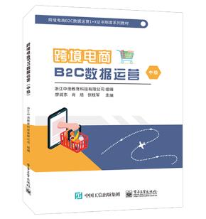 跨境电商B2C数据运营（中级）