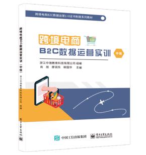 跨境电商B2C数据运营实训（中级）