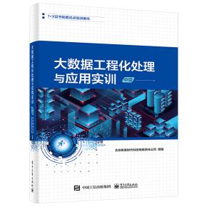 大数据工程化处理与应用实训（中级）
