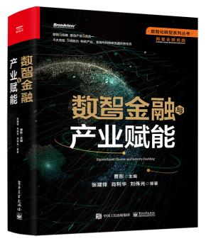 2版次--数智金融与产业赋能&nbsp;&nbsp;