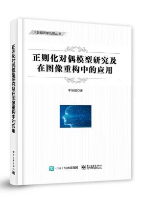 正则化对偶模型研究及在图像重构中的应用&nbsp;&nbsp;