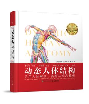 动态人体结构:艺用人体解剖、姿势与动态解析
