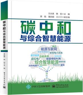 碳中和与综合智慧能源&nbsp;&nbsp;