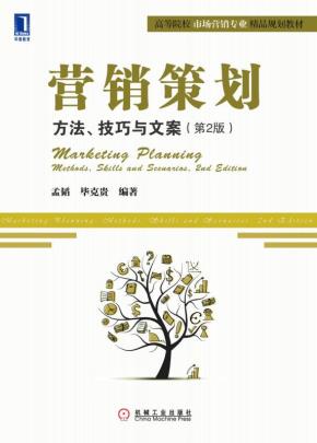营销策划:方法、技巧与文案(第2版)