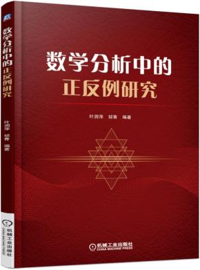 数学分析中的正反例研究