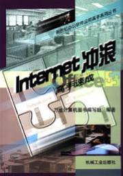 Internet冲浪高手速成