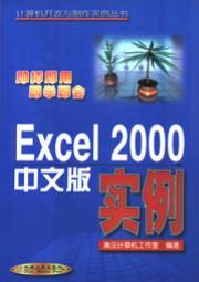 Excel2000中文版实例