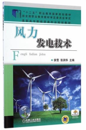 风力发电技术