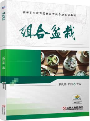 组合盆栽