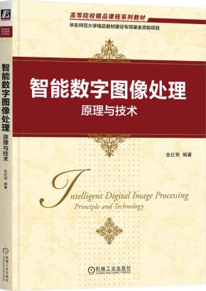 智能数字图像处理:原理与技术
