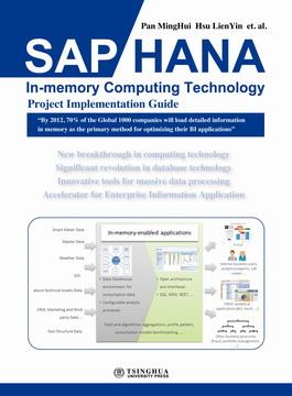 SAPHANA内存计算技术项目实战指南