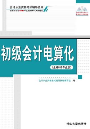 初级会计电算化(金蝶KIS专业版)