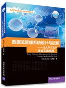 数据流管理系统设计与应用——SAPESP项目实战指南
