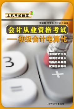 会计从业资格考试——初级会计电算化
