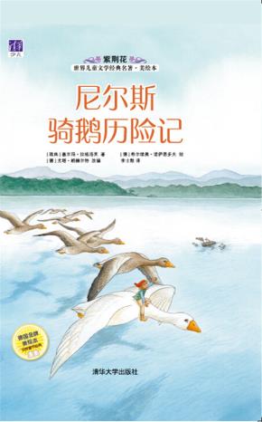 尼尔斯骑鹅历险记