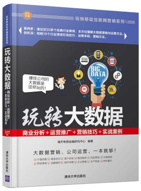 玩转大数据:商业分析+运营推广+营销技巧+实战案例