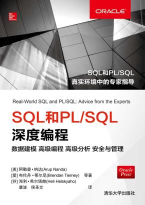 SQL和PL/SQL深度编程数据建模高级编程高级分析安全与管理
