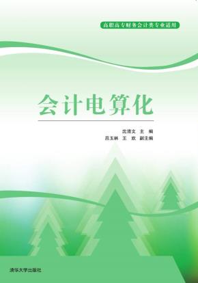 会计电算化