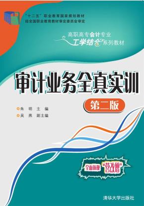 审计业务全真实训（第二版）