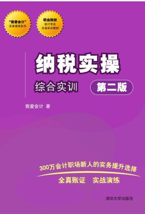 纳税实操综合实训（第二版）