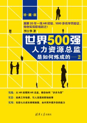 世界500强人力资源总监是如何炼成的:珍藏版2