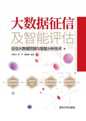 大数据征信及智能评估：征信大数据挖掘与智能分析技术